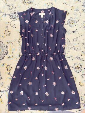 LOFT Women’s Dress